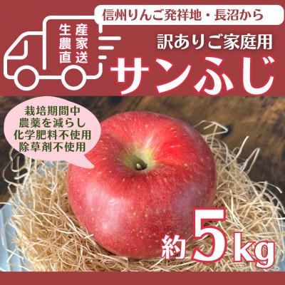 ふるさと納税 長野市 生産農家直送 長沼りんご サンふじ(ご家庭用)5kg 栽培期間中化学肥料・除草剤不使用