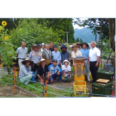 ふるさと納税 高山市 日本みつばちの百花蜜 《ひだの百花蜜》 600g 1本 PN004の画像