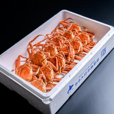 ふるさと納税 森町 ●北海道噴火湾産●[訳あり]冷凍ボイルオオズワイガニ 約2.0kg(オスメス小サイズ混合)
