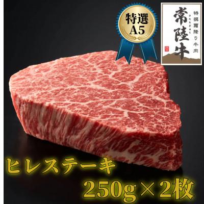 ふるさと納税 牛久市 [常陸牛特選A5]ヒレステーキ250g×2枚