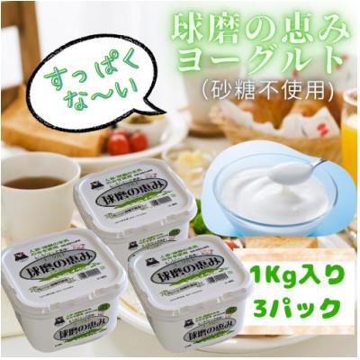 ふるさと納税 錦町 もっちり濃厚!球磨の恵みヨーグルト(砂糖不使用タイプ)3kgセット(錦町)