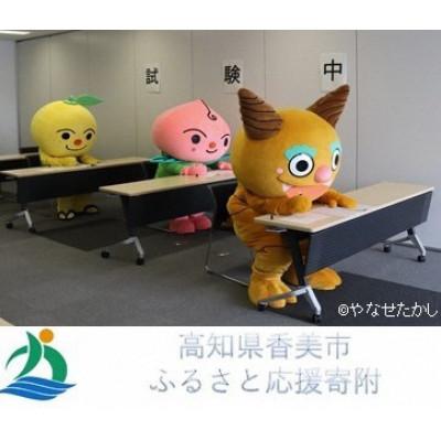 ふるさと納税 香美市 【しっぺい返し品なし】高知県香美市への奉加金 100,000円