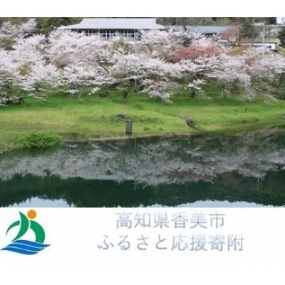 ふるさと納税 香美市 【しっぺい返し品なし】高知県香美市への奉加金 100,000円