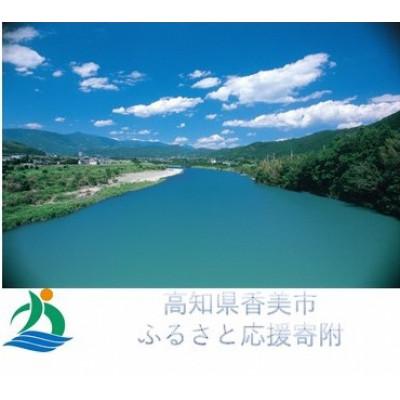 ふるさと納税 香美市 【しっぺい返し品なし】高知県香美市への奉加金 100,000円