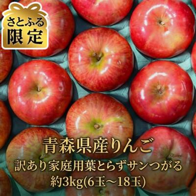 ふるさと納税 青森市 [2026年9月より発送予定]平均糖度12度以上!葉とらずサンつがる約3kg 訳あり[さとふる限定]