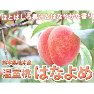 ふるさと納税 熊本市 桃 はなよめ 秀品 約900g【2026年5月下旬から2026年6月下旬発送予定】(熊本市)の画像