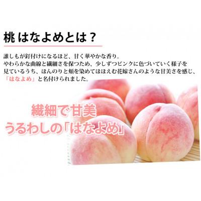 ふるさと納税 熊本市 桃 はなよめ 秀品 約900g【2026年5月下旬から2026年6月下旬発送予定】(熊本市)の画像