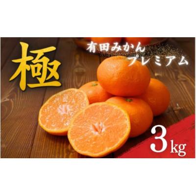 ふるさと納税 美浜町 [25年10月〜順次発送]有田みかんプレミアム 3kg 糖度12度以上2S〜M nuk004-p-3