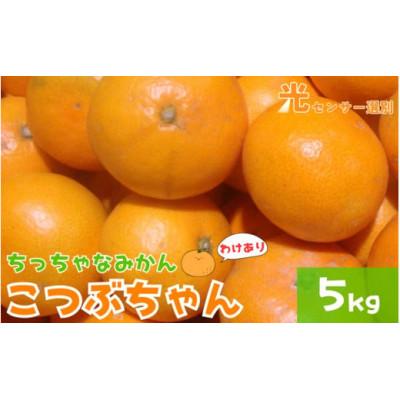ふるさと納税 美浜町 [25年10月より順次発送][訳あり]3S ちっちゃな有田みかん 約5kg nuk004-sc-5