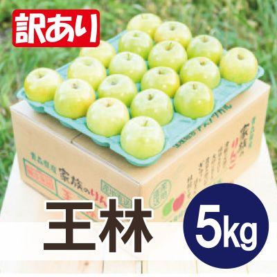 ふるさと納税 青森市 平均糖度13度以上! 王林 約5kg 訳あり りんご 青森県産