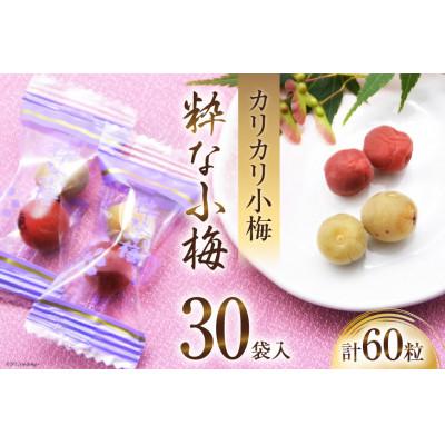 ふるさと納税 韮崎市 粋な小梅 2粒×30パック