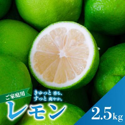 ふるさと納税 松山市 2026年9月下旬より順次発送 グリーンレモン 約2.5kg 家庭用 防腐剤、ワックス不使用