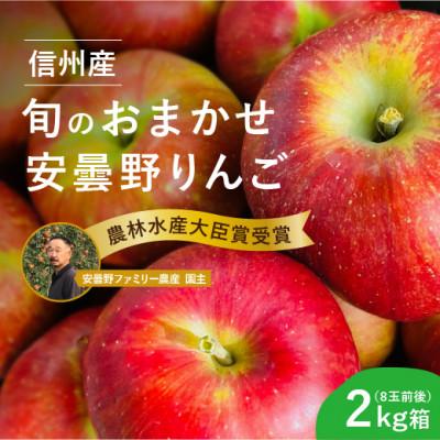 ふるさと納税 安曇野市 おまかせ旬のりんご2kg箱