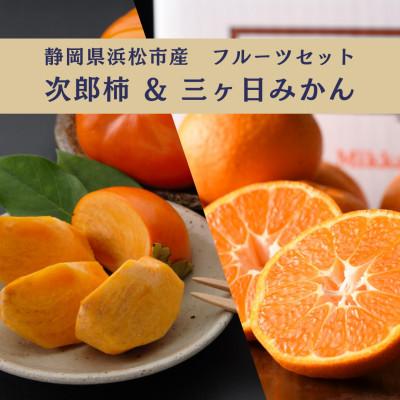 ふるさと納税 浜松市 詰合せ 次郎柿と三ヶ日みかんセット(次郎柿 9〜12個・三ヶ日みかんMかL 3kg)