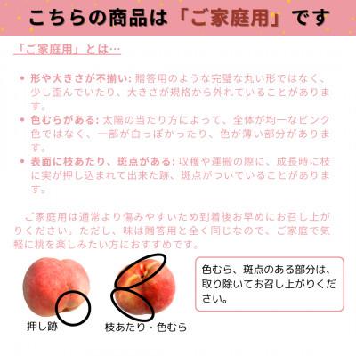 ふるさと納税 山形県 【2026年9月上旬より順次発送】♪フルーツ王国山形♪ご家庭用白桃 品種おまかせ 3Kgの画像