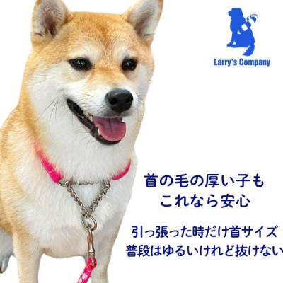 ふるさと納税 浜松市 中型犬用 Mサイズ ハーフチョークカラーとリードのセット 【トロピカルピンク】の画像