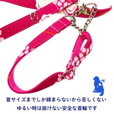 ふるさと納税 浜松市 中型犬用 Mサイズ ハーフチョークカラーとリードのセット 【トロピカルピンク】の画像