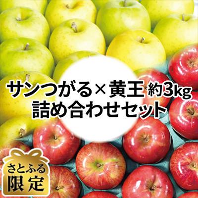 ふるさと納税 青森市 [さとふる限定]サンつがる×黄王 約3kg 訳あり 詰め合わせセット クール便