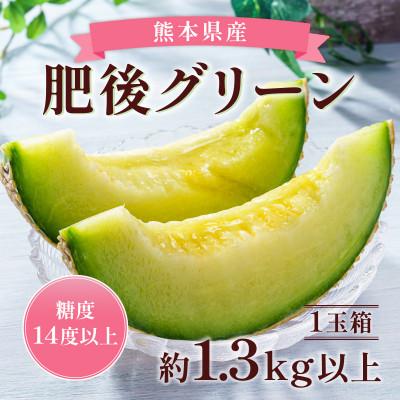 ふるさと納税 熊本市 肥後グリーン 1玉 約1.3kg(熊本市)