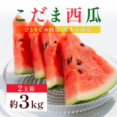 ふるさと納税 熊本市 小玉スイカ 2玉(2Lサイズ以上)(熊本市)