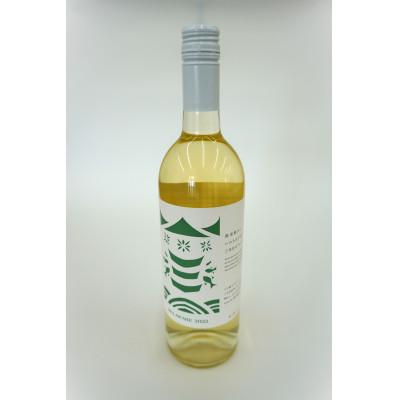ふるさと納税 南三陸町 [南三陸ワイナリー]デラウェア 白(辛口) 750ml×1本