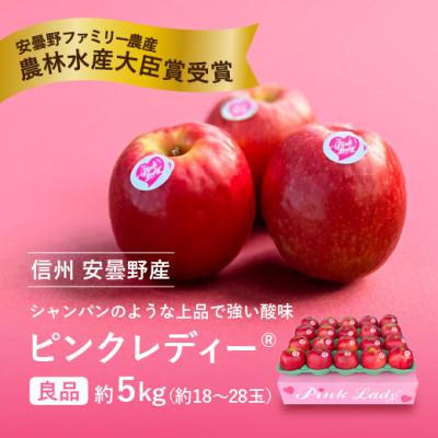 ふるさと納税 安曇野市 信州安曇野産 ピンクレディー(R)約5kg