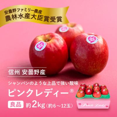 ふるさと納税 安曇野市 信州安曇野産 ピンクレディー(R)約2kg
