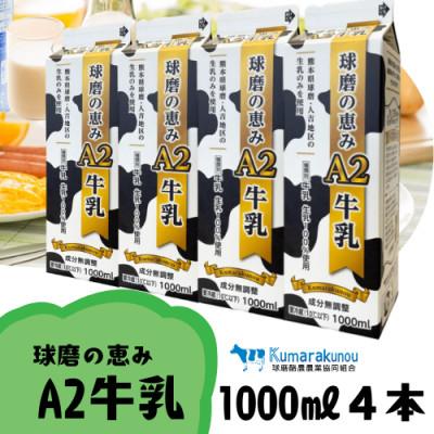ふるさと納税 相良村 球磨の恵みA2牛乳 1000ml 4本パック(相良村)
