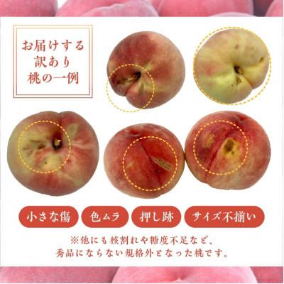 ふるさと納税 甲州市 【2025年先行受付】【訳あり】桃 約3kg(6〜13玉)山梨県甲州市産の画像