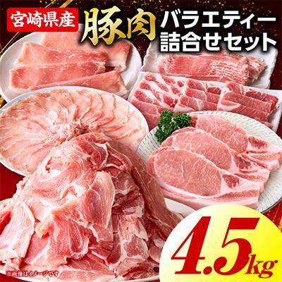 ふるさと納税 国富町 豚肉バラエティー詰合せセット 4.5kg(国富町)
