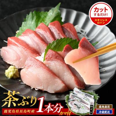 ふるさと納税 長島町 茶ぶり スキンレスロイン(1尾分)4個入り_usui-7324