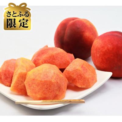 ふるさと納税 長野県 [さとふる限定]長野県須坂市産3kgのワッサー