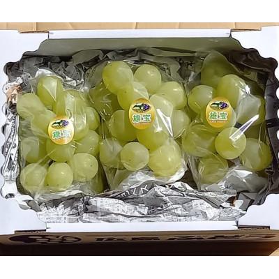 ふるさと納税 世羅町 【カナダ人農園主の真心を込めた】皮ごと食べられる雄宝 約2kg(数量限定)の画像