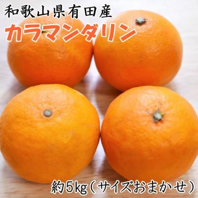 ふるさと納税 太地町 [春みかん]和歌山有田産カラマンダリン約5kg(サイズおまかせ)[太地町] [tecj1022]