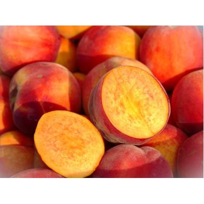 ふるさと納税 長野県 信州うちやま農園の「ワッサー」約2kg(6〜8玉入り) 桃+ネクタリンの掛け合わせの画像