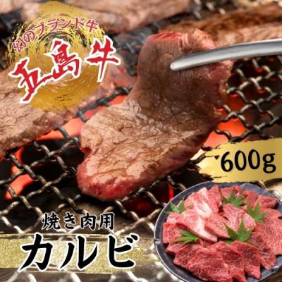 ふるさと納税 新上五島町 [幻のブランド牛]五島牛カルビ(600g)[冷凍]