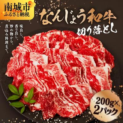 ふるさと納税 南城市 [なんじょう和牛]切り落とし(200g×2パック)
