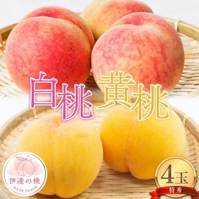 ふるさと納税 伊達市 伊達市産の白桃と黄桃の特秀 4玉入り (計約1.2kg) F21C-080