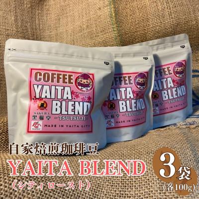 ふるさと納税 矢板市 やいたブランド認証品 YAITA BLEND〜TSUTSUJI〜 100g×3袋[豆]