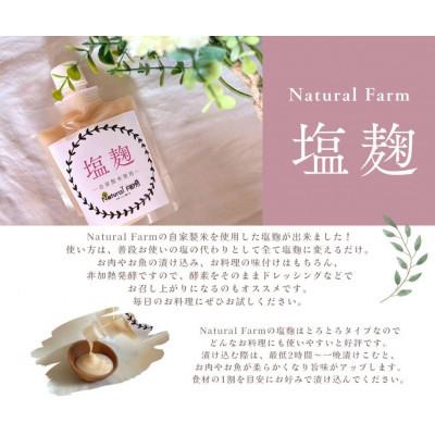 ふるさと納税 枕崎市 醗酵生姜舎利別\u0026塩麹 各3風呂敷き包み仕かける B8-25