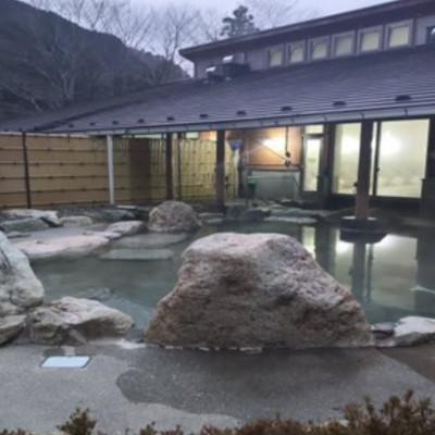 ふるさと納税 南部地方町 山梨県南部地方町秘湯「奥山海水浴場」一時滞在券(1泊2食付き添い人)1名様 6畳