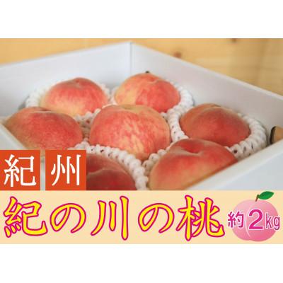 ふるさと納税 紀の川市 紀州紀の川の桃 約2kg(5〜8玉)