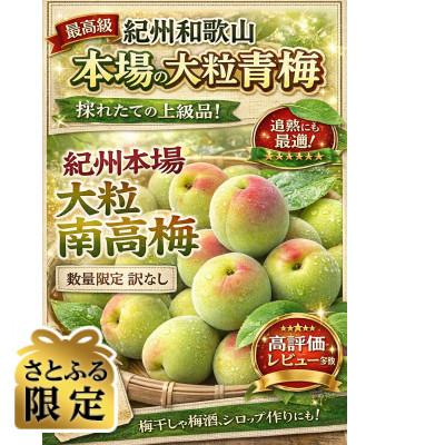ふるさと納税 有田川町 [さとふる限定]南高梅青梅秀品大玉サイズ2L〜3L計5キロ