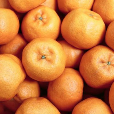 ふるさと納税 八幡浜市 【南国を感じさせる独特の香り】愛媛ポンカン 20kg【H20-70】_1