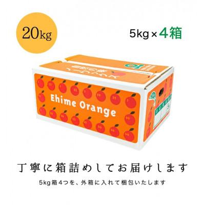 ふるさと納税 八幡浜市 【南国を感じさせる独特の香り】愛媛ポンカン 20kg【H20-70】_3