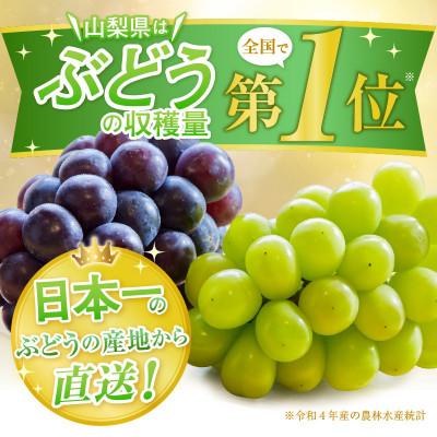 ふるさと納税 甲州市 【2026年先行受付】山梨のスイートエメラルド シャインマスカット 約3kg(4〜6房)【冷蔵発送】の画像