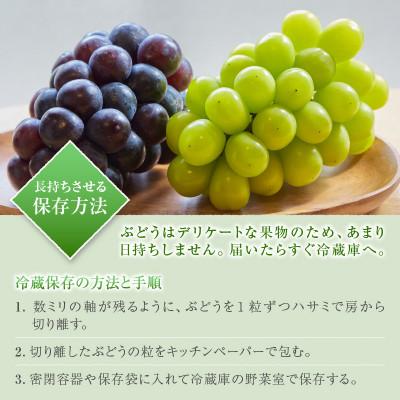ふるさと納税 甲州市 【2026年先行受付】山梨のスイートエメラルド シャインマスカット 約3kg(4〜6房)【冷蔵発送】の画像