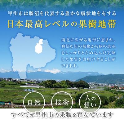 ふるさと納税 甲州市 【2026年先行受付】山梨のスイートエメラルド シャインマスカット 約3kg(4〜6房)【冷蔵発送】の画像