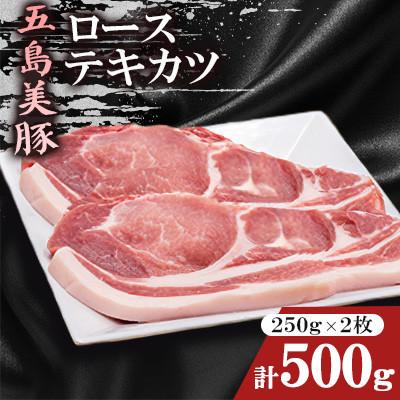ふるさと納税 五島市 五島美豚ローステキカツ 250g×2枚(計500g)
