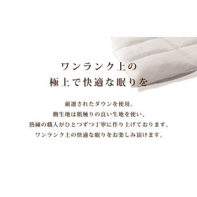 ふるさと納税 甲斐市 【合掛け布団】羽毛合掛け布団プレミアム(ダブル:190cm×210cm)ホワイトマザーグースダウンの画像
